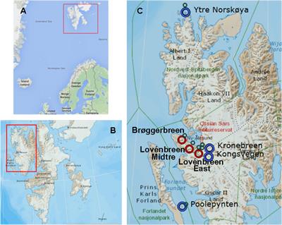 Microbial Communities in Coastal Glaciers and Tidewater Tongues of Svalbard Archipelago, Norway